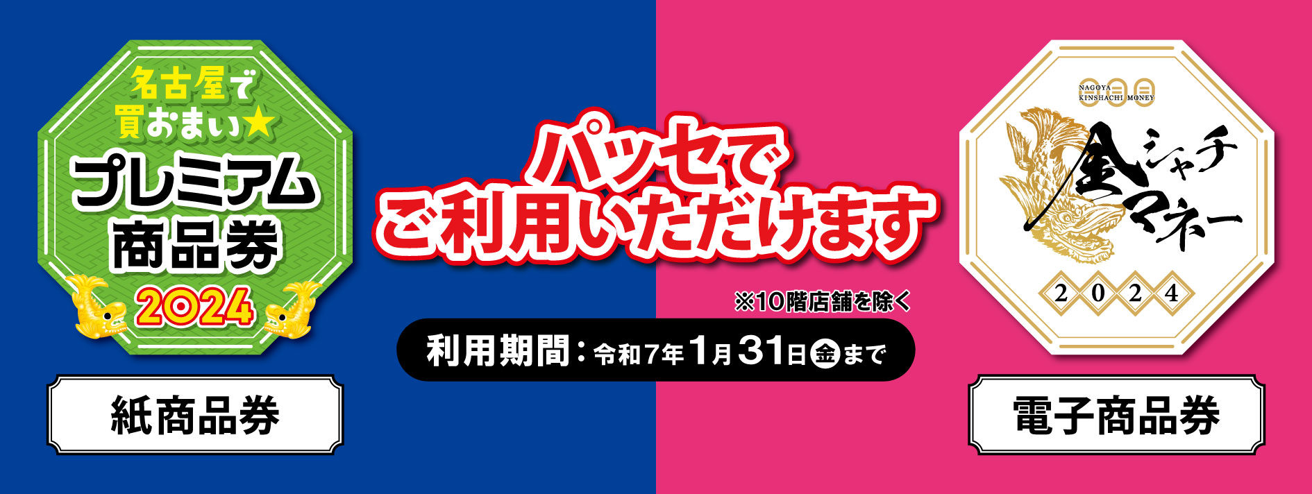 makkkページの２ 金鯱８号２点 楽天市場】サボテン 金鯱 種の通販